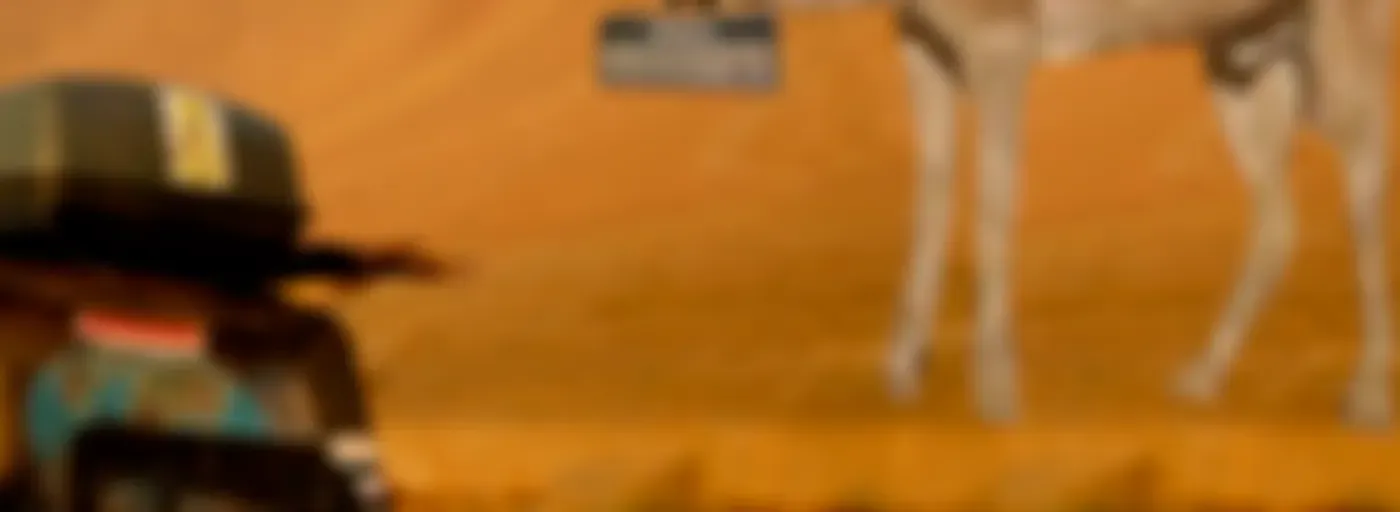 Los 60 desde un Mehari u otro