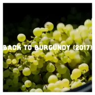 Indie Film Highlight: BACK TO BURGUNDY (2017)