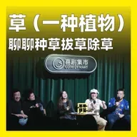 235.草（一种植物）：聊聊种草拔草除草