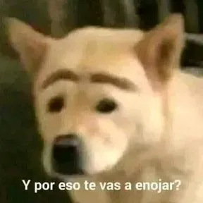 SANTITWO