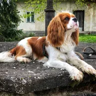 👫 ... Vzgoja ali vzgajati glede na osebnost 🌀