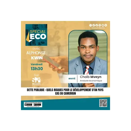DETTE PUBLIQUE : QUELS RISQUES POUR LE DEVELOPPEMENT D’UN PAYS ? CAS DU CAMEROUN