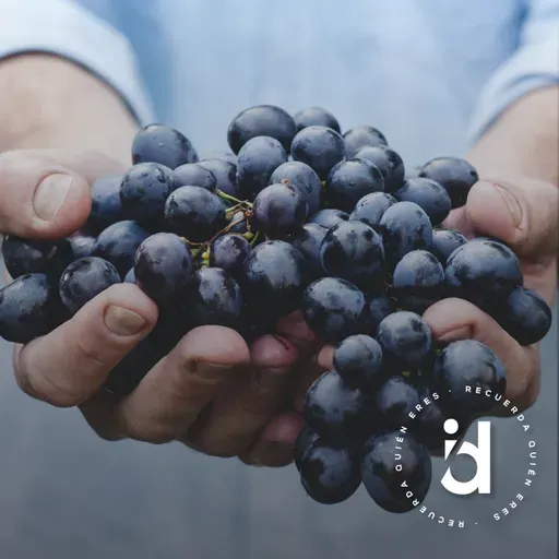 Caminos de sanación 3. El sufrimiento redentor