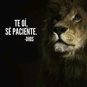 Venga tu reino