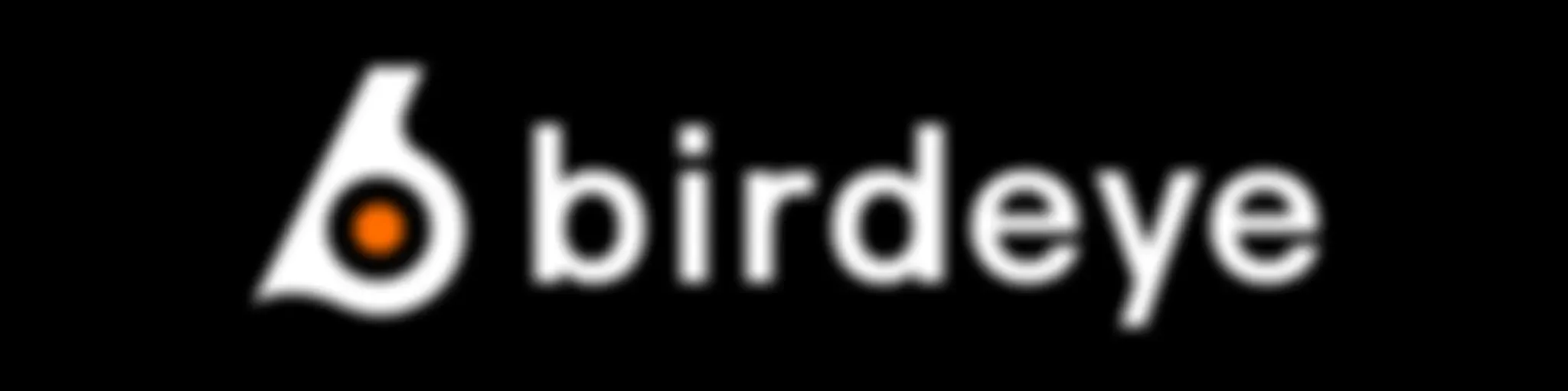 Birdeye-birdeye.so