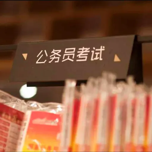 为什么越来越多人考公？ | Why So Many People Take the Civil Service Exam in China?