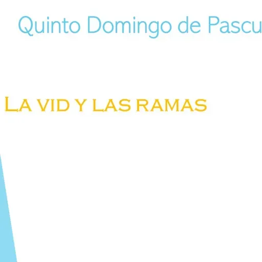 Quinto Domingo de Pascua
