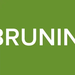 BRUNIN