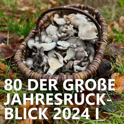 #80 Der große Jahresrückblick 2024 Teil 1