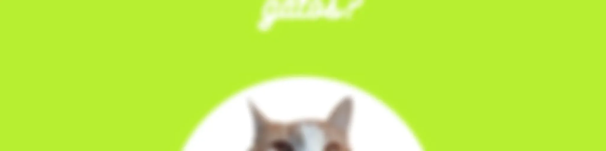 ¿Qué es un resumen de gatos?