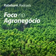 Perspectivas 2026 | Papel e Celulose