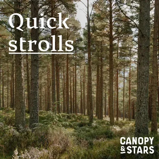 Quick Strolls: Slowing Down