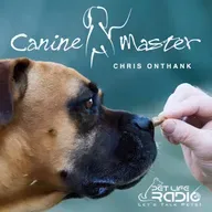 Canine Master - Episode 30 The Summer Social: Training Your Dog for Guests & Gatherings