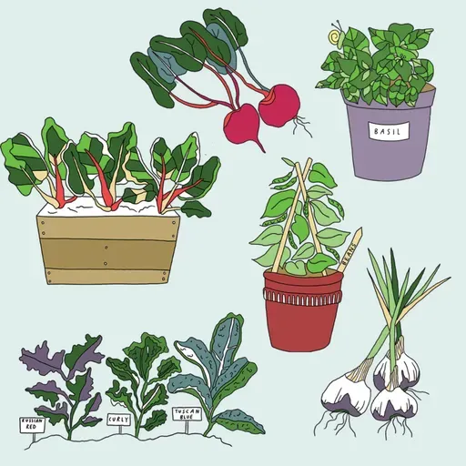 Re-Conectar con la Naturaleza para Sanar | Huerto Tlatelolco en CDMX | Entrevista con Gaby Vargas