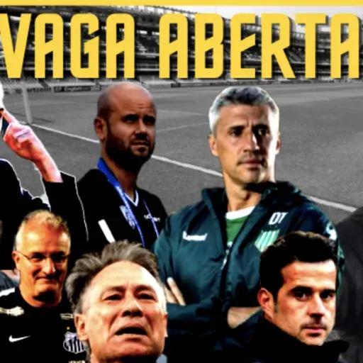 QUEM SERÁ O NOVO TREINADOR DO SANTOS FC ?