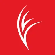 SAD DO BENFICA EXPLICADA EM 5 MINUTOS