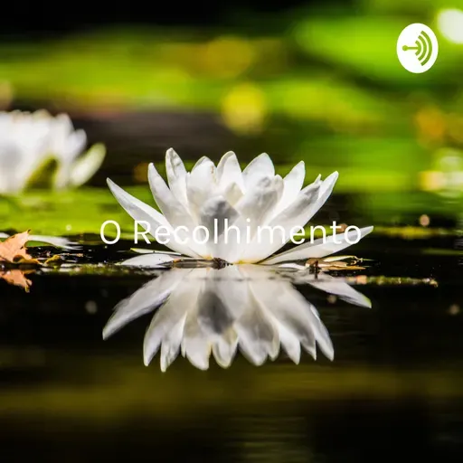 AUDIO 91 O recolhimento: olhando a situação sob a luz do yoga, da saúde e das ciências humanas