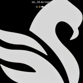 FENIX RADIO