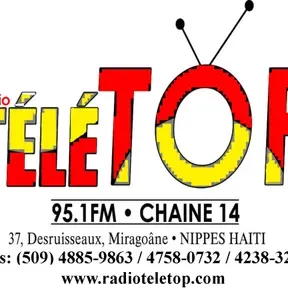 Radio Top 95.1 Fm Stereo