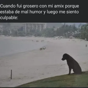 Penesotegrande201
