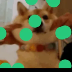 sapallo