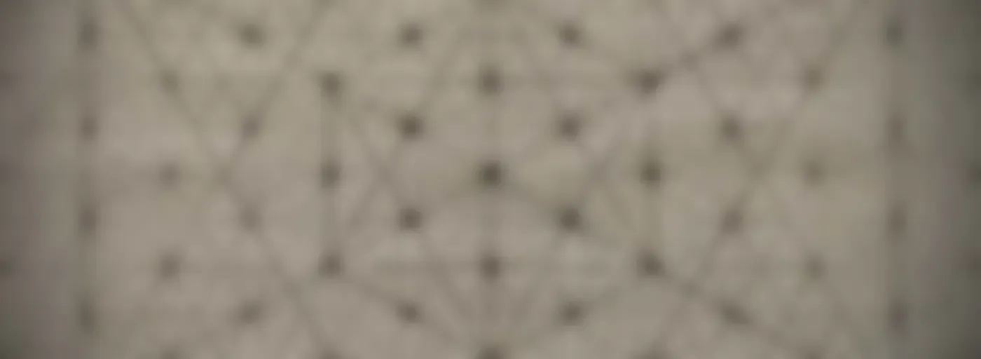 “You are the Seed”