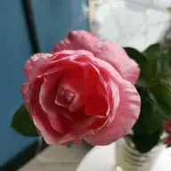 Tienes que pasar la noche oscura, tienes que pasar la prueba 💚