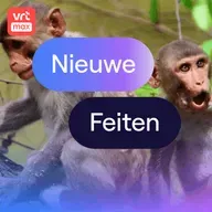 Homoseksualiteit helpt tegen stress -bij apen