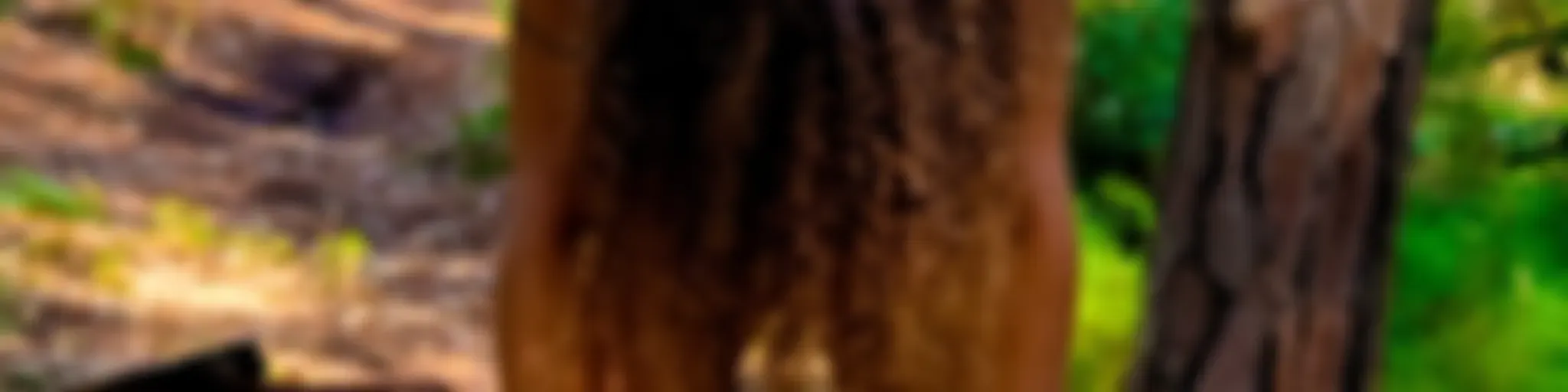 ClarearCast - Yoga e Terapias Integrativas 🦋 