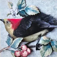 Revisiting “Saber-Toothed Cat”