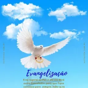EVANGELIZAÇÃO