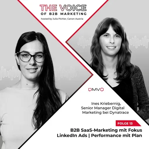 B2B SaaS-Marketing mit Fokus LinkedIn Ads | Performance mit Plan