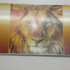ALFA LIONS GOSPEL