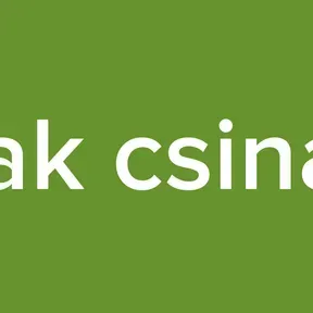 csak csinald