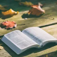 Evangelio según Juan capítulo 4