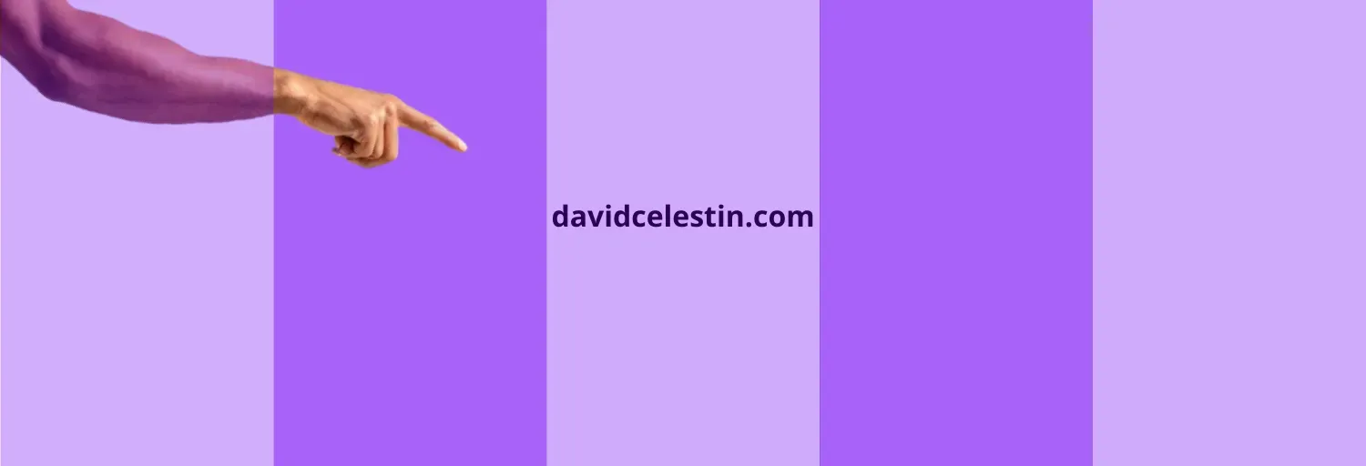 David Celestin (DAVIDCELESTIN.COM)