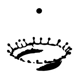 Primer Movimiento