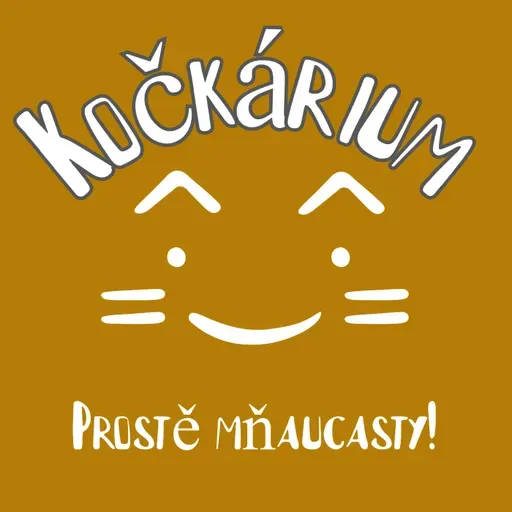 Může kočka zabloudit?