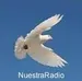Nuestra Radio Cristiana