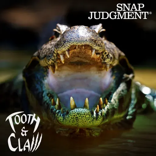 Florida Alligator Man - Tooth & Claw