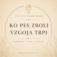 Ko pes zboli vzgoja trpi.
