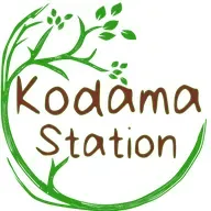 Kodama Station en vivo