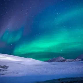 Arctic Watch