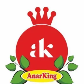 AnarKing Innovative Sushant Surve