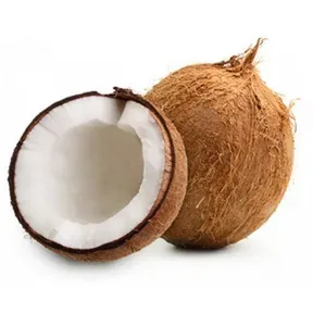 Coconut