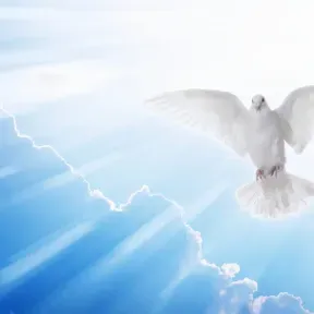 A VOZ DA PALAVRA D DEUS