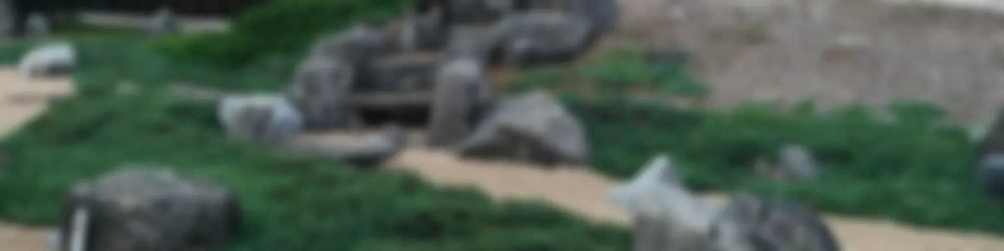 Estás Interfiriendo con mi Zen.