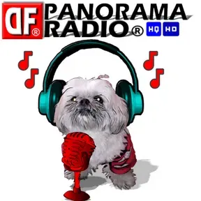 DF PANORAMA