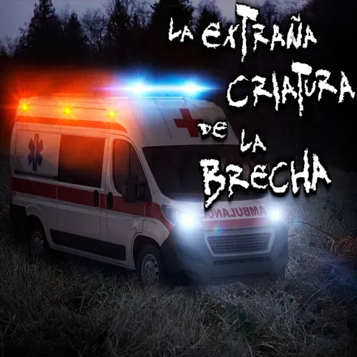 ATERRADORAS EXPERIENCIAS DE PARAMÉDICOS: Extraña criatura en la brecha