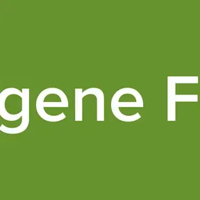 Ogene Fm